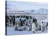 Colony of Emperor Penguins (Aptenodytes Forsteri), Snow Hill Island, Weddell Sea, Antarctica-Thorsten Milse-Stretched Canvas
