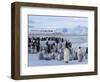 Colony of Emperor Penguins (Aptenodytes Forsteri), Snow Hill Island, Weddell Sea, Antarctica-Thorsten Milse-Framed Photographic Print