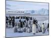 Colony of Emperor Penguins (Aptenodytes Forsteri), Snow Hill Island, Weddell Sea, Antarctica-Thorsten Milse-Mounted Photographic Print