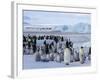 Colony of Emperor Penguins (Aptenodytes Forsteri), Snow Hill Island, Weddell Sea, Antarctica-Thorsten Milse-Framed Photographic Print