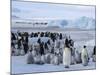 Colony of Emperor Penguins (Aptenodytes Forsteri), Snow Hill Island, Weddell Sea, Antarctica-Thorsten Milse-Mounted Photographic Print