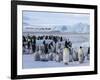 Colony of Emperor Penguins (Aptenodytes Forsteri), Snow Hill Island, Weddell Sea, Antarctica-Thorsten Milse-Framed Photographic Print