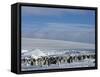 Colony of Emperor Penguins (Aptenodytes Forsteri), Snow Hill Island, Weddell Sea, Antarctica-Thorsten Milse-Framed Stretched Canvas