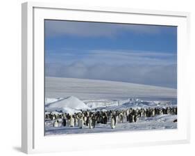 Colony of Emperor Penguins (Aptenodytes Forsteri), Snow Hill Island, Weddell Sea, Antarctica-Thorsten Milse-Framed Photographic Print