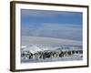 Colony of Emperor Penguins (Aptenodytes Forsteri), Snow Hill Island, Weddell Sea, Antarctica-Thorsten Milse-Framed Photographic Print