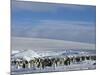 Colony of Emperor Penguins (Aptenodytes Forsteri), Snow Hill Island, Weddell Sea, Antarctica-Thorsten Milse-Mounted Photographic Print