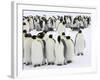 Colony of Emperor Penguins (Aptenodytes Forsteri), Snow Hill Island, Weddell Sea, Antarctica-Thorsten Milse-Framed Photographic Print