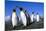 Colony of King Penguins-null-Mounted Photographic Print