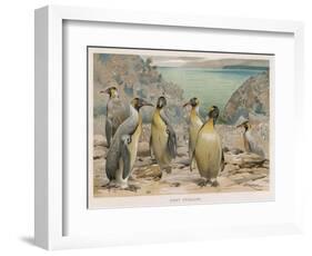 Colony of King Penguins-null-Framed Art Print