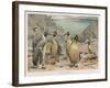 Colony of King Penguins-null-Framed Art Print