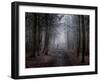 Colony-Craig Roberts-Framed Photographic Print