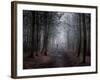 Colony-Craig Roberts-Framed Photographic Print