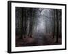 Colony-Craig Roberts-Framed Photographic Print