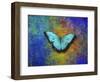 Color and butterfly 1-Ata Alishahi-Framed Premium Giclee Print