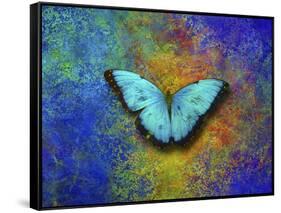 Color and butterfly 1-Ata Alishahi-Framed Stretched Canvas