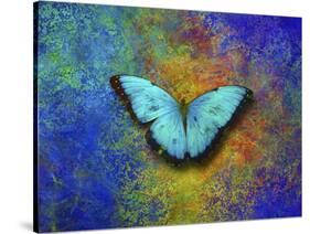 Color and butterfly 1-Ata Alishahi-Stretched Canvas