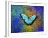 Color and butterfly 1-Ata Alishahi-Framed Giclee Print