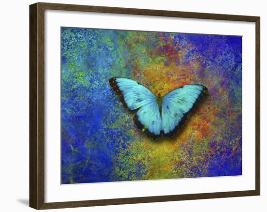 Color and butterfly 1-Ata Alishahi-Framed Giclee Print