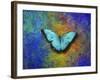 Color and butterfly 1-Ata Alishahi-Framed Giclee Print