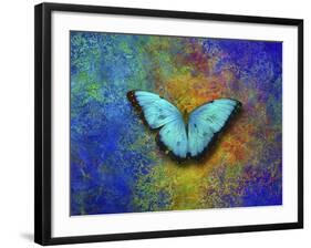 Color and butterfly 1-Ata Alishahi-Framed Giclee Print