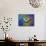 Color and butterfly 1-Ata Alishahi-Mounted Giclee Print displayed on a wall