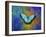 Color and butterfly 1-Ata Alishahi-Framed Giclee Print