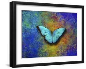 Color and butterfly 1-Ata Alishahi-Framed Giclee Print