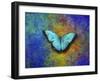 Color and butterfly 1-Ata Alishahi-Framed Giclee Print