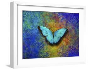 Color and butterfly 1-Ata Alishahi-Framed Giclee Print