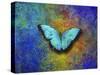 Color and butterfly 1-Ata Alishahi-Stretched Canvas