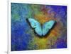 Color and butterfly 1-Ata Alishahi-Framed Giclee Print