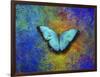 Color and butterfly 1-Ata Alishahi-Framed Giclee Print