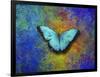 Color and butterfly 1-Ata Alishahi-Framed Giclee Print