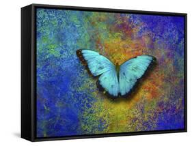 Color and butterfly 1-Ata Alishahi-Framed Stretched Canvas