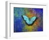 Color and butterfly 1-Ata Alishahi-Framed Giclee Print