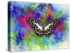 Color and Butterfly 2-Ata Alishahi-Stretched Canvas