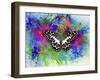 Color and Butterfly 2-Ata Alishahi-Framed Giclee Print