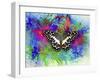 Color and Butterfly 2-Ata Alishahi-Framed Giclee Print