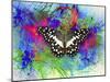 Color and Butterfly 2-Ata Alishahi-Mounted Giclee Print