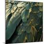 Wood Mount
