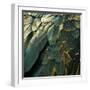White Frame