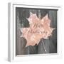 White Frame