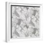 White Frame