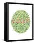 Color Blindness Test-Spencer Sutton-Framed Stretched Canvas