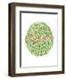 Color Blindness Test-Spencer Sutton-Framed Giclee Print