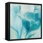 Color Bloom III-Rikki Drotar-Framed Stretched Canvas