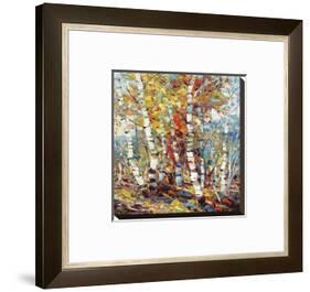 Color Burst 2-Dean Bradshaw-Framed Stretched Canvas