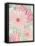 Color Burst Blooms I-Elizabeth Medley-Framed Stretched Canvas