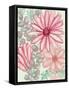 Color Burst Blooms II-Elizabeth Medley-Framed Stretched Canvas