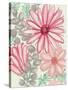 Color Burst Blooms II-Elizabeth Medley-Stretched Canvas